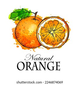 Orangefarbene und schiefe Aquarellskizze, Vektorgrafik auf weißem Hintergrund.