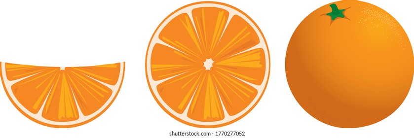 Orange, sliced fruit, illustration on a white background