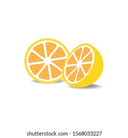 Orange sliced in vector illustration