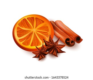 Orange Slices, Cinnamon Sticks and Star Anice vector 