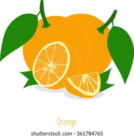 Orange slices, collection of vector illustrations on a transparent background