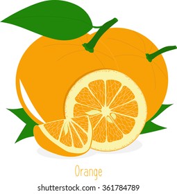 Orange slices, collection of vector illustrations on a transparent background