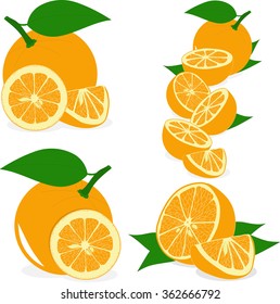 Orange slices, collection of vector illustrations on a transparent background