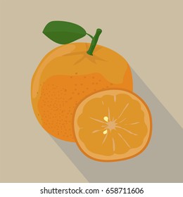 Orange and slices isolate, Orange icon, Orange on a light Background, vector illustration.