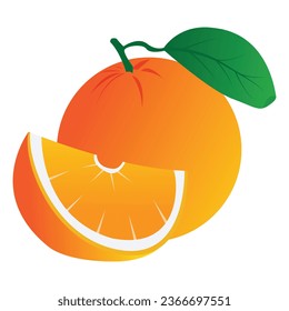 Orange and slices of oranges. Vector illustration of oranges. Fully editable handmade mesh.