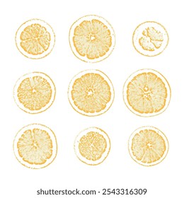 Orange slices stippling retro Christmas vector elements