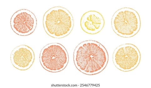 Orange slices stippling retro Christmas vector elements