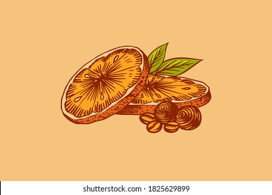 Orange slices. Summer fruit . Engraved hand drawn vintage sketch. Woodcut style. 