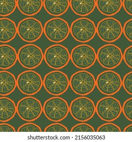 Orange slices transparent line with green background. Hand drawing and vector illustrator.  