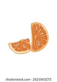 orange slices vector in cartoon style