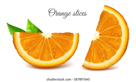 Orange slices. Vector illustration.