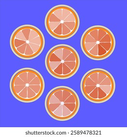 orange slices vector illustration, food