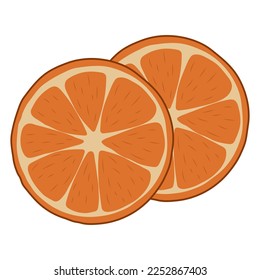 Orange slices. vector illustration on a white background
