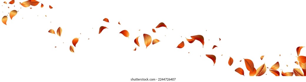 Ilustración Del Fondo Panorámico Blanco Del Vector De Caída Solar Naranja. Afiche de la hoja borrosa. El fondo de la naturaleza de las hojas amarillas. Cartel del Viento Foliage.