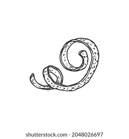 Orange spiral zest or peel monochrome engraving style vector illustration isolated on white background. Black thin line vintage drawing of citrus fruit peel.