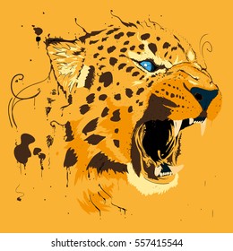 Orange splash cheetah