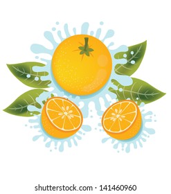 Orange splash vector illustration