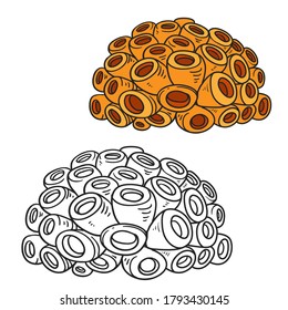 Orange sponge coloring book linear drawing isolated on white background