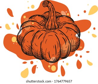 Orange spot lineart halloween and thanksgiving pumpkin clip art
