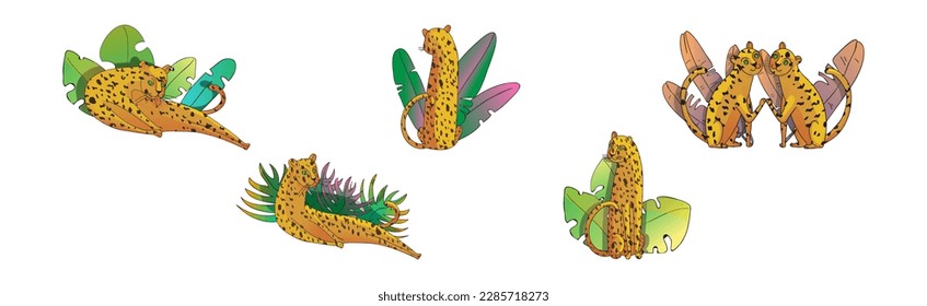 Orange Spotted Leopard Near Tropical Foliage Vector Set