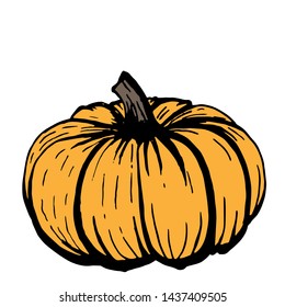 Orange Squash Pumpkin With Black Outline On White Background, Vector Doodle Illustration.