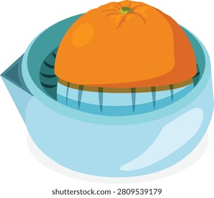 orange squeezer top view vector.