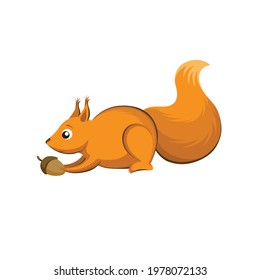 Orange squirrel with a nut in its paws isolated on a white background. Cartoon character, vector illustration.