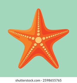 Orange starfish with dotted detailing on a teal background