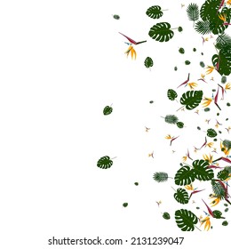 Orange Strelitzia Background White Vector. Leaves Fashion Backdrop. Light Green Flower. Botany Illustration. Pink Graphic Texture.