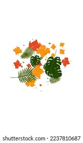 Orange Strelitzia Background White Vector. Philodendron Forest Frame. Red Plant. Color Backdrop. Green Hawaii Design.