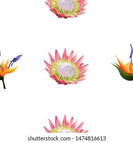 Orange Strelitzia. Pink Protea. Vector illustration. Seamless background pattern. Floral botanical flower. Wild leaf wildflower isolated. Exotic tropical hawaiian jungle. Fabric wallpaper print.