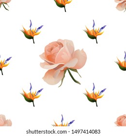 Orange Strelitzia. Pink Rose. Vector illustration. Seamless background pattern. Floral botanical flower. Wild leaf wildflower isolated. Exotic tropical hawaiian jungle. Fabric wallpaper print texture.