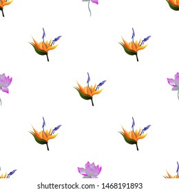 Orange Strelitzia. Purple Lotus. Vector illustration. Seamless background pattern. Floral botanical flower. Wild leaf wildflower isolated. Exotic tropical hawaiian jungle. Fabric wallpaper print.
