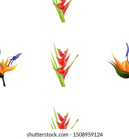 Orange Strelitzia. Red Heliconia Bihai. Vector illustration. Seamless background pattern. Floral botanical flower. Wild leaf wildflower isolated. Exotic tropical hawaiian jungle. Fabric wallpaper.