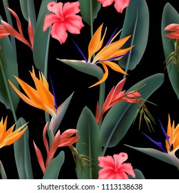 Orange Strelitzia Reginae blossom known as crane flower, paradise hawaiian pink hibiscus and bromelia seamless vector pattern. South Africa flowering plant and strelitzia fabric print, textile.
