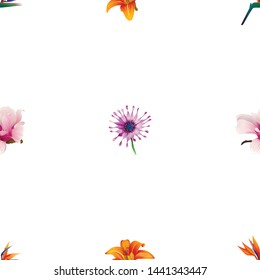 Orange Strelitzia reginae. Orange Daylily. Pink Magnolia. Purple Osteospermum daisybush. Vector illustration. 