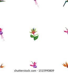 Orange Strelitzia Reginae. Pink and Purple Fuchsia Bella. Green bird of paradise. Vector illustration. Seamless background pattern. Floral botanical flower. Wild leaf wildflower isolated. Exotic.