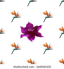 Orange Strelitzia Reginae. Purple Clematis. Vector illustration. Seamless background pattern. Floral botanical flower. Wild leaf wildflower isolated. Exotic tropical hawaiian jungle. Fabric.