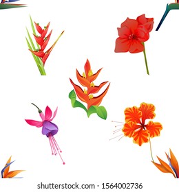 Orange Strelitzia Reginae. Red Heliconia Bihai. Red Amaryllis. Pink and Purple Fuchsia Bella. Orange Rose Mallow. Orange Heliconia. Vector illustration. Seamless background pattern. Floral botanical.