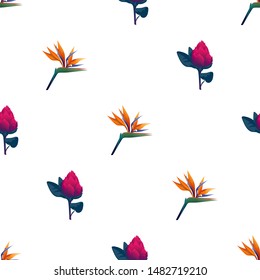 Orange Strelitzia Reginae. Red Vriesea. Vector illustration. Seamless background pattern. Floral botanical flower. Wild leaf wildflower isolated. Exotic tropical hawaiian jungle. Fabric wallpaper.