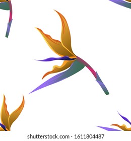 Orange Strelitzia. Vector illustration. Seamless background pattern. Floral botanical flower. Wild leaf wildflower isolated. Exotic tropical hawaiian jungle. Fabric wallpaper print texture.