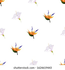 Orange Strelitzia. White Hibiscus. Vector illustration. Seamless background pattern. Floral botanical flower. Wild leaf wildflower isolated. Exotic tropical hawaiian jungle. Fabric wallpaper print.