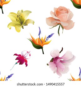 Orange Strelitzia. Yellow Lilium. Pink Rose. Red Fuchsia. Pink Magnolia. Vector illustration. Seamless background pattern. Floral botanical flower. Wild leaf wildflower isolated. Exotic tropical.