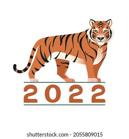 Orange striped tiger. Happy New year 2022. Tiger standing on 2022. Chinese symbol of the New Year 2022. Annual animal zodiac sign. Vector illustration of tiger isolated on white 