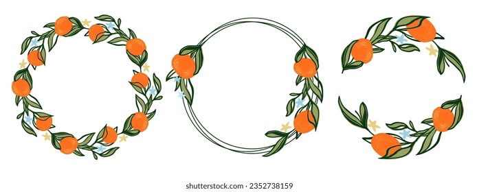 Círculo de frutas de verano naranja fue puesto. Marco de verano para tarjeta, etiqueta o invitación. Aislamiento de ilustraciones dibujadas a mano en el fondo blanco