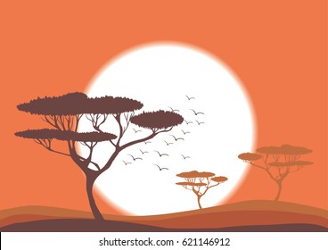 Orange sunset in savanna
vector nature illustration, Africa landscape, acacia trees