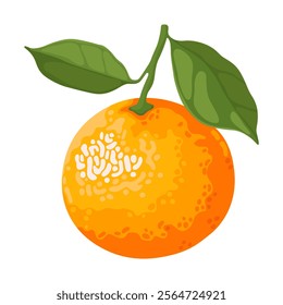 Orange sweet tangerine with green leaves isolated on white background. Fresh fruit. Symbol of Chinese New Year, Tet.