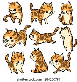 Orange tabby American Short Hair cat cartoon vector set