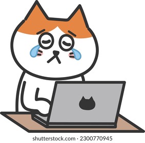 Gatito de dibujos animados de tabby naranja llorando mientras usaba una computadora, ilustración vectorial.