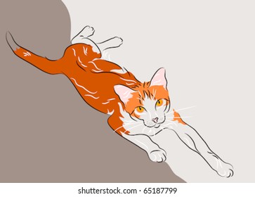 Orange tabby cat relaxing
